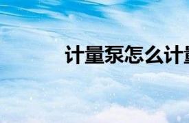 計量泵怎么計量（計量泵手冊）