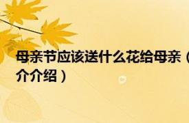 母親節應該送什么花給母親（母親節送什么花給母親相關內容簡介介紹）