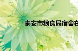 泰安市糧食局宿舍在哪里（泰安市糧食局）