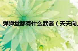 彈彈堂都有什么武器（天天向上 游戲《彈彈堂》中的一種武器）