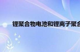 鋰聚合物電池和鋰離子聚合物電池（鋰離子聚合物電池）