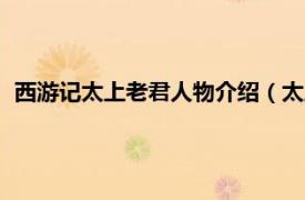 西游記太上老君人物介紹（太上老君 《亂斗西游2》中的角色）