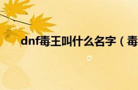 dnf毒王叫什么名字（毒王 游戲《DNF》中的職業）