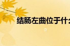 結腸左曲位于什么之間（結腸左曲）