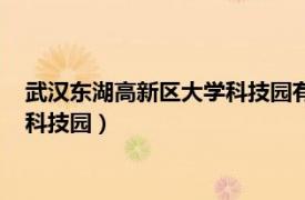 武漢東湖高新區大學科技園有限公司（武漢東湖高新區國家大學科技園）