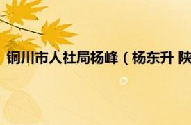 銅川市人社局楊峰（楊東升 陜西省銅川市人才交流中心原主任）