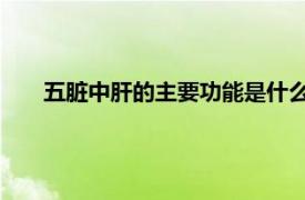 五臟中肝的主要功能是什么（肝 人體臟器名、五臟之一）