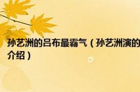 孫藝洲的呂布最霸氣（孫藝洲演的呂布是哪部電視劇中的角色相關內容簡介介紹）