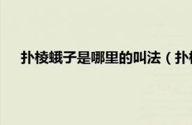 撲棱蛾子是哪里的叫法（撲棱蛾子 昆蟲鱗翅目蛾類的俗稱）