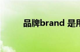 品牌brand 是用which還是what