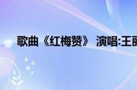 歌曲《紅梅贊》 演唱:王麗達(dá)（紅梅贊 王莉演唱歌曲）
