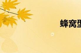 蜂窩型陽光板