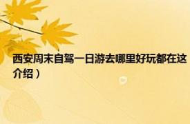 西安周末自駕一日游去哪里好玩都在這（夏天西安周邊游哪里好玩一日游相關內容簡介介紹）