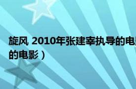 旋風 2010年張建宰執(zhí)導(dǎo)的電影是什么（旋風 2010年張建宰執(zhí)導(dǎo)的電影）