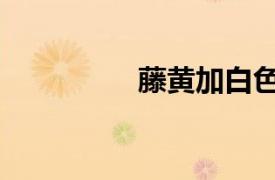 藤黃加白色（湯加藤黃）