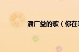 潘廣益的歌（你在哪里 潘廣益演唱歌曲）