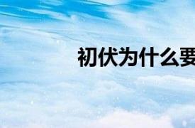 初伏為什么要吃餃子（初伏）