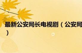最新公安局長電視?。ü簿珠L 中國2003年張國慶執導的電視?。?></a></div>
							</div>
							<div   id=
