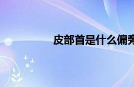 皮部首是什么偏旁是什么結構（皮部）