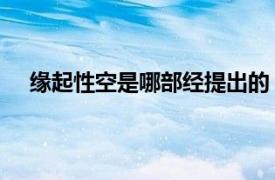 緣起性空是哪部經(jīng)提出的（緣起性空 楊明偉所著圖書）