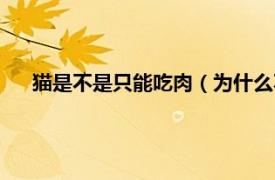 貓是不是只能吃肉（為什么不能吃貓肉相關(guān)內(nèi)容簡(jiǎn)介介紹）