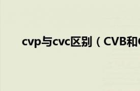 cvp與cvc區別（CVB和C的區別相關內容簡介介紹）