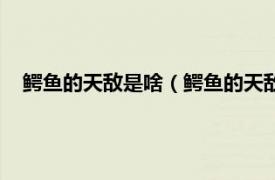 鱷魚的天敵是啥（鱷魚的天敵是什么動物相關內容簡介介紹）