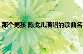 那個男孩 陳戈兒演唱的歌曲名字（那個男孩 陳戈兒演唱的歌曲）
