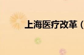 上海醫療改革（上海市醫改方案）