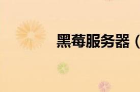 黑莓服務器（黑莓BES服務）