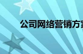 公司網絡營銷方案（網絡營銷方案）