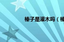 榛子是灌木嗎（榛子 樺木科榛屬植物）