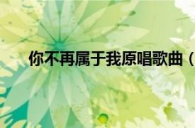 你不再屬于我原唱歌曲（不再屬于我 郎軍演唱歌曲）