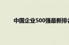 中國企業500強最新排名2021（中國企業500強）