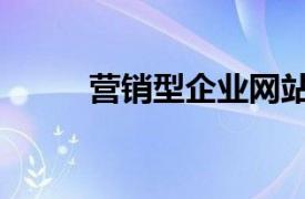 營(yíng)銷型企業(yè)網(wǎng)站（網(wǎng)絡(luò)營(yíng)銷公司）