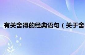 有關舍得的經典語句（關于舍得的勵志語錄相關內容簡介介紹）