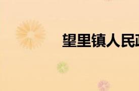 望里鎮人民政府（望里鎮）