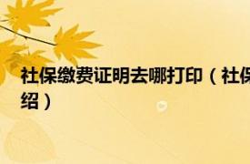 社保繳費證明去哪打印（社保繳費證明在哪里打相關內容簡介介紹）