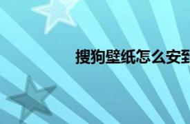 搜狗壁紙怎么安到電腦上（搜狗壁紙）