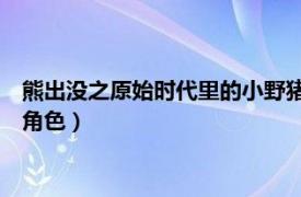 熊出沒(méi)之原始時(shí)代里的小野豬（小石頭 《熊出沒(méi)原始時(shí)代》中的角色）