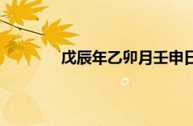 戊辰年乙卯月壬申日（戊申四月廿六日題）