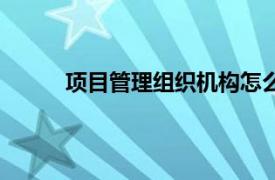 項目管理組織機構怎么寫（項目管理組織機構）
