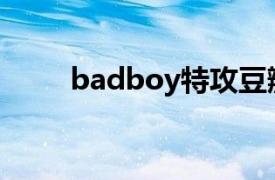 badboy特攻豆瓣（BadBoy特攻）