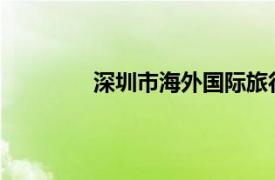 深圳市海外國際旅行社有限公司營銷策略