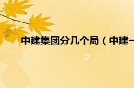 中建集團分幾個局（中建一共幾個局相關內容簡介介紹）