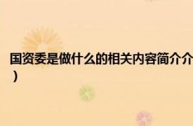 國資委是做什么的相關內容簡介介紹（國資委是做什么的相關內容簡介介紹）