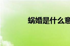 蝸婚是什么意思（蝸婚男女）