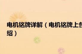 電機(jī)銘牌詳解（電機(jī)銘牌上各參數(shù)的意思是什么相關(guān)內(nèi)容簡介介紹）