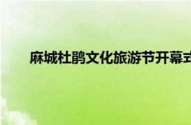 麻城杜鵑文化旅游節(jié)開幕式晚會（麻城杜鵑文化旅游節(jié)）