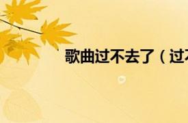 歌曲過不去了（過不去 鞠文嫻演唱歌曲）